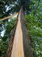 蚊里田八幡宮(長野県)