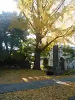 安國論寺(安国論寺)の自然