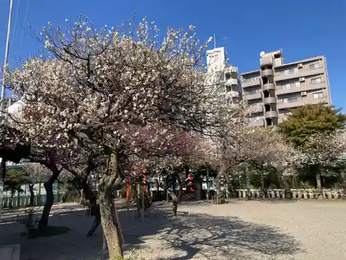 町田天満宮(東京都)