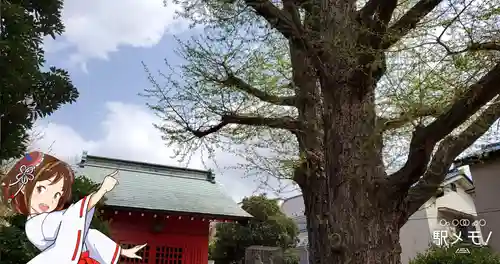 三谷稲荷神社の自然