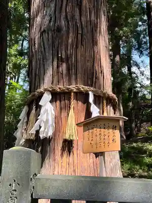 諏訪大社下社春宮(長野県)