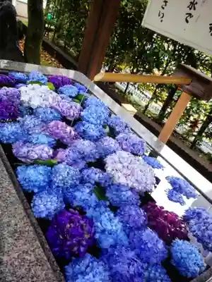 桜神宮(東京都)