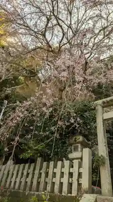 大豊神社(京都府)