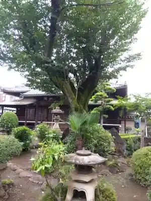 荘厳寺(東京都)