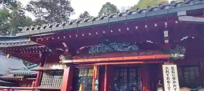 箱根神社の本殿・本堂