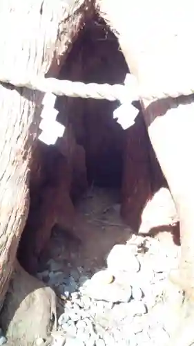 戸隠神社奥社の自然