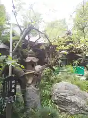 愛宕神社の自然