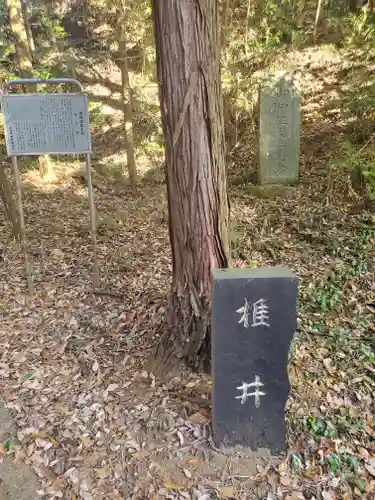 夜刀神社(愛宕神社境内社)のその他建物