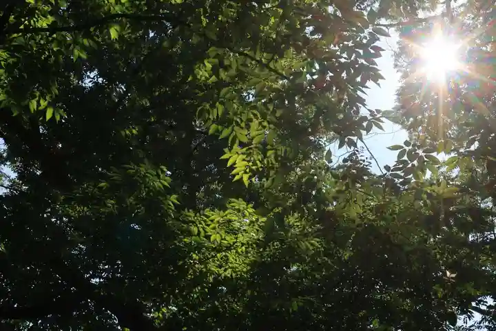 愛宕神社の自然