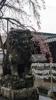 縣神社の狛犬