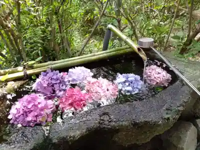 宮地嶽神社(福岡県)