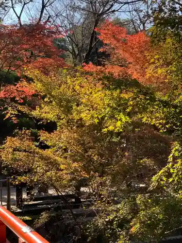 伏見稲荷大社(京都府)