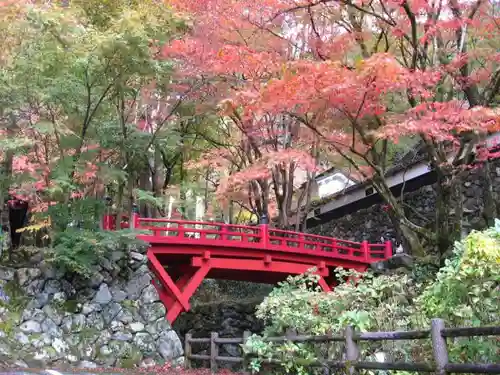 横蔵寺の庭園