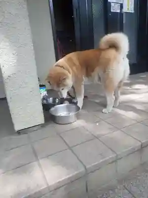 笠䅣稲荷神社(神奈川県)