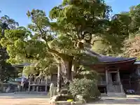 青岸渡寺の庭園