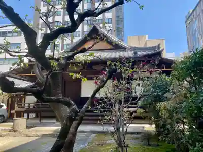 高野堂妙心寺(京都府)