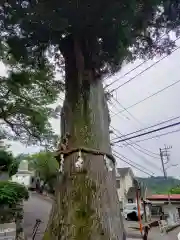 寄神社(神奈川県)