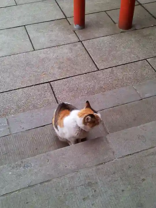 愛宕神社の動物