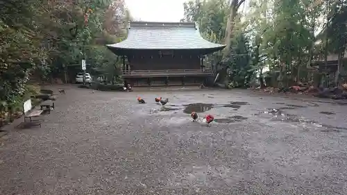 谷保天満宮の動物