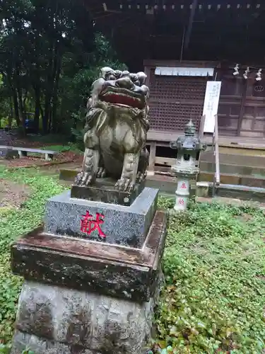 鳩峯八幡神社の狛犬