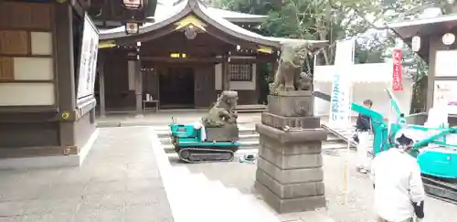 検見川神社の狛犬