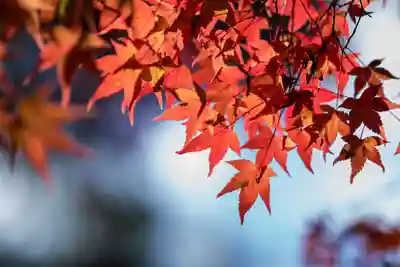 伊勢の国 四天王寺(三重県)