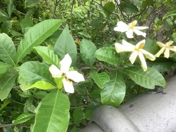 浄慈院(愛知県)