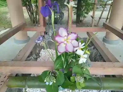 和泉國一之宮　大鳥大社(大阪府)