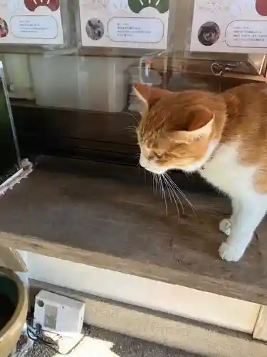 救馬溪観音(和歌山県)