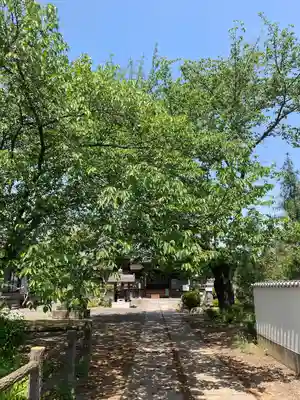 観音寺 正法院(埼玉県)