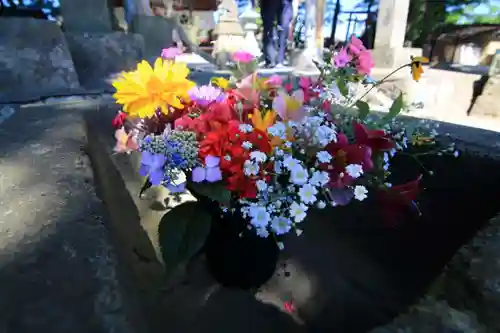 熊野福藏神社の手水