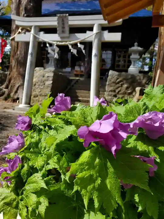 高司神社〜むすびの神の鎮まる社〜(福島県)