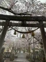 天鷹神社の鳥居