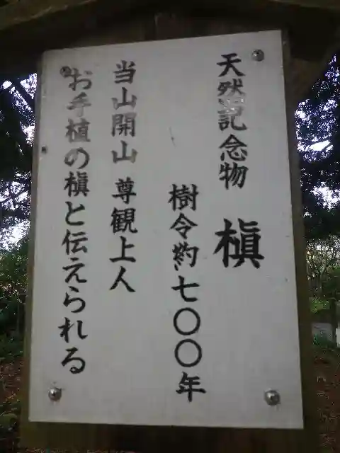 安養院 (田代寺)の歴史