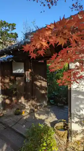 妙蓮寺(京都府)
