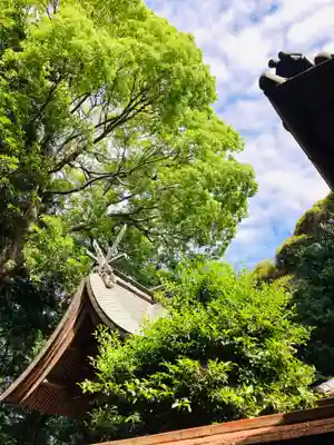 金刀比羅神社(茨城県)