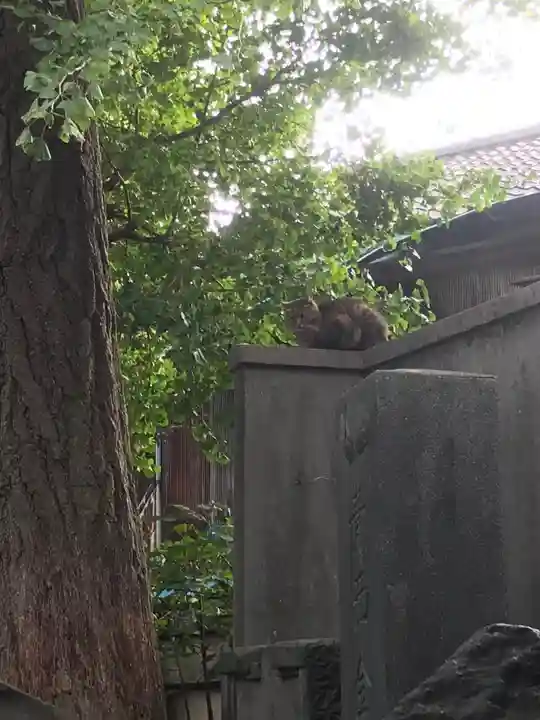 小野照崎神社の動物