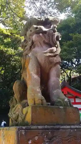 江島神社の狛犬