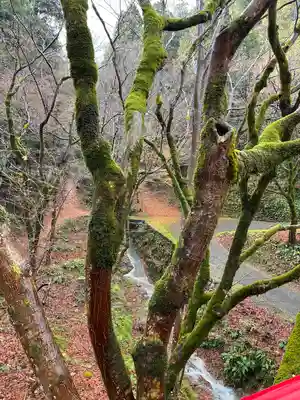 養父神社(兵庫県)