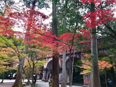 南禅寺のその他建物