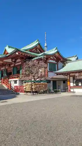 亀戸天神社(東京都)