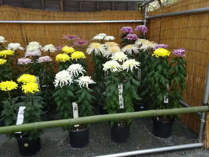 比々多神社の芸術