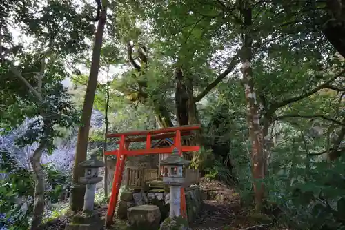 峯寺の鳥居