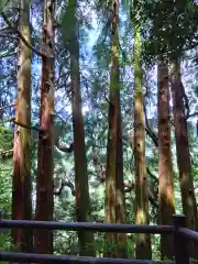 天岩戸神社(宮崎県)