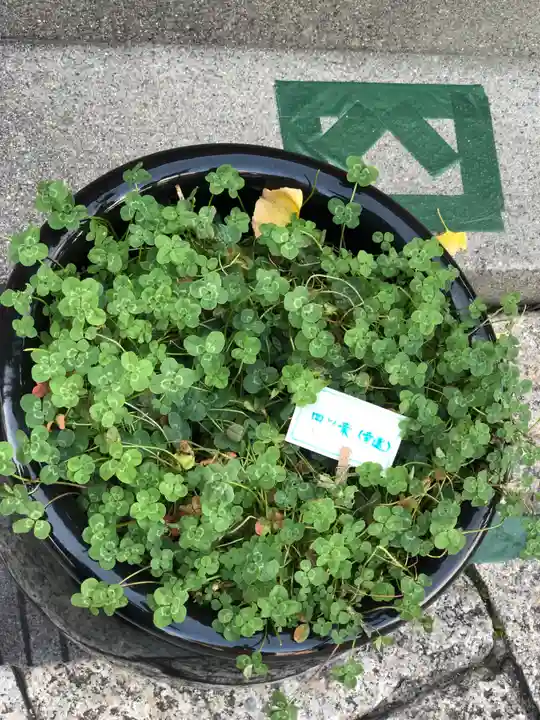 徳島眉山天神社のその他建物