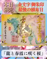 風に揺れる桜の美しさと、天に昇る龍の力強さ。
この一枚には、「新しい始まりへの後押し」と「穏やかな心」を願う想いを込めました。