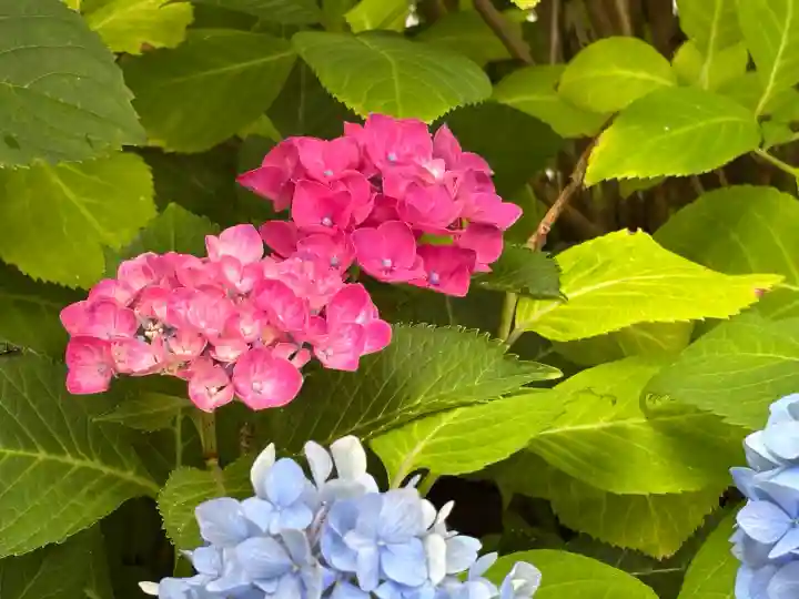 西野神社(北海道)