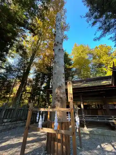 諏訪大社下社春宮(長野県)