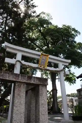 縣神社の鳥居