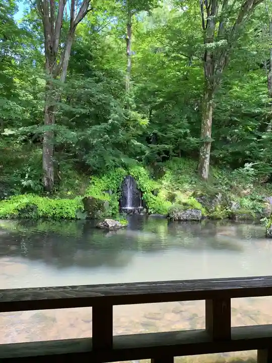 青龍山 吉祥寺の庭園
